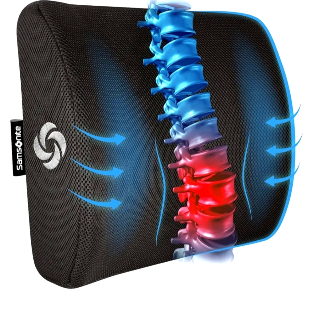 Lumbar Support Pillow